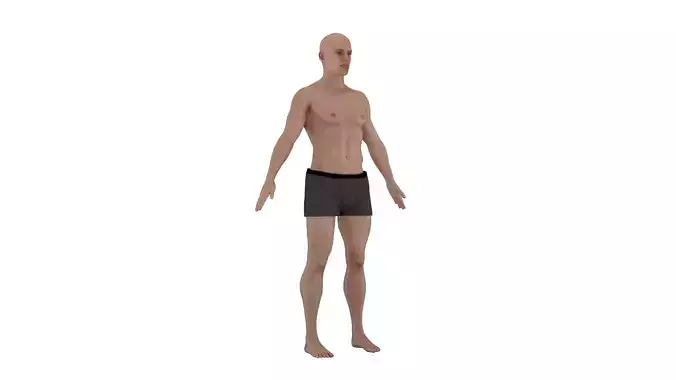 Human Body 3D Model - Realistic Human Body Anatomy Low-poly 3D model