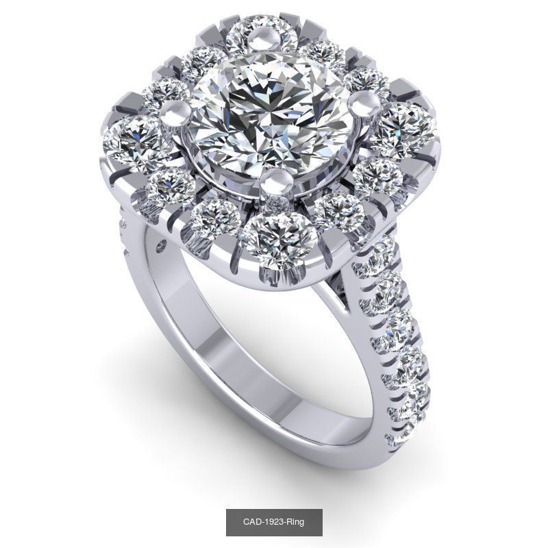 14th collection on 10est model _4