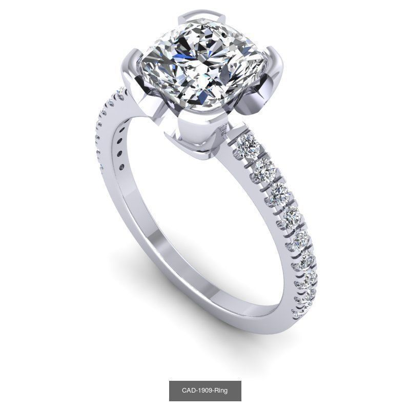 17thcollection  of 10est model  _6