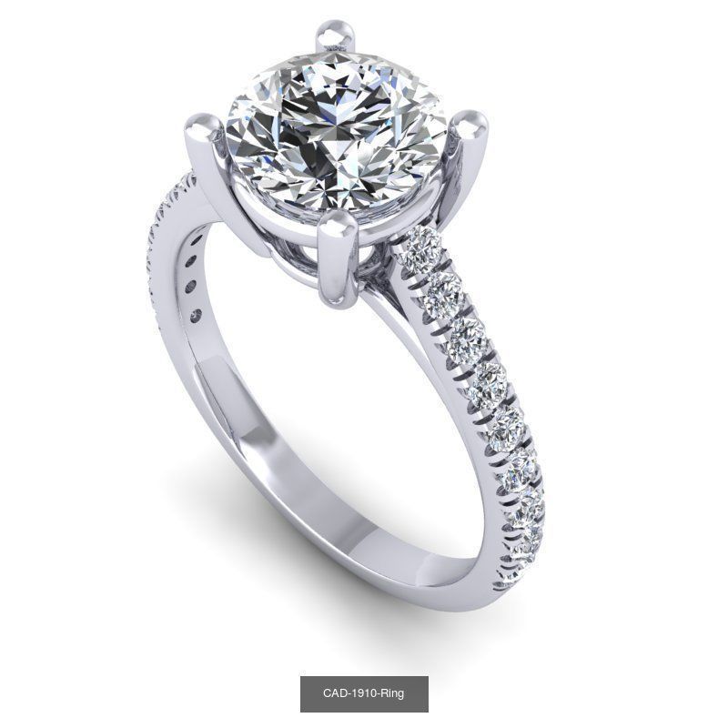 17thcollection  of 10est model  _5