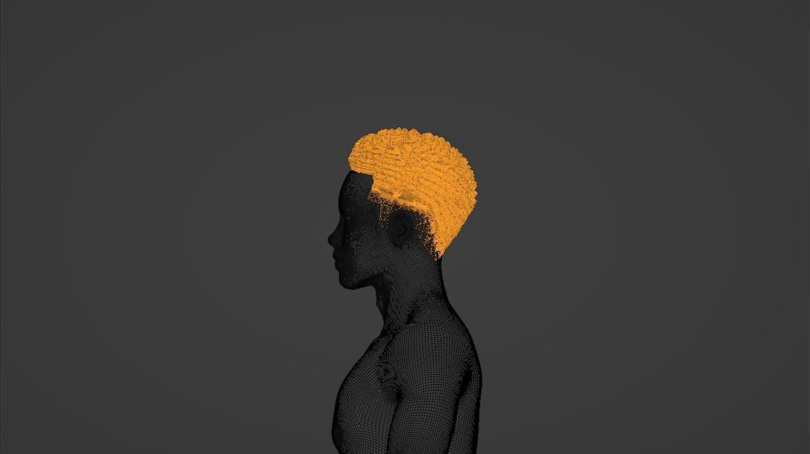 Afro Curl Sponge Fade 3D model_10