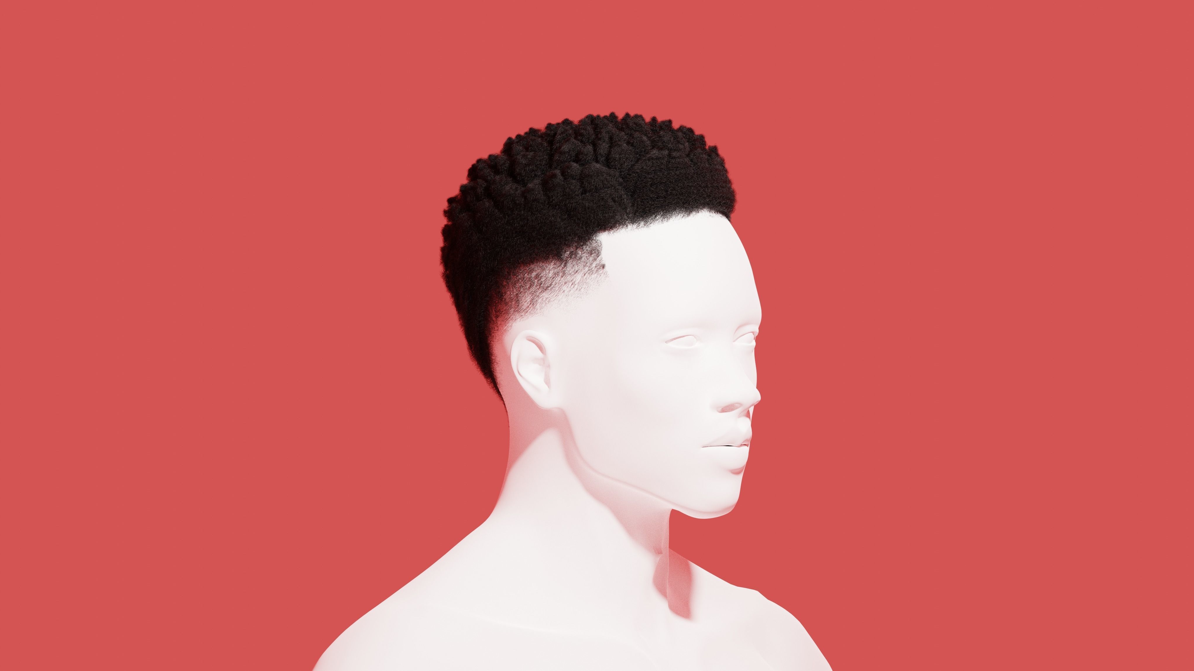 Afro Curl Sponge Fade 3D model_1