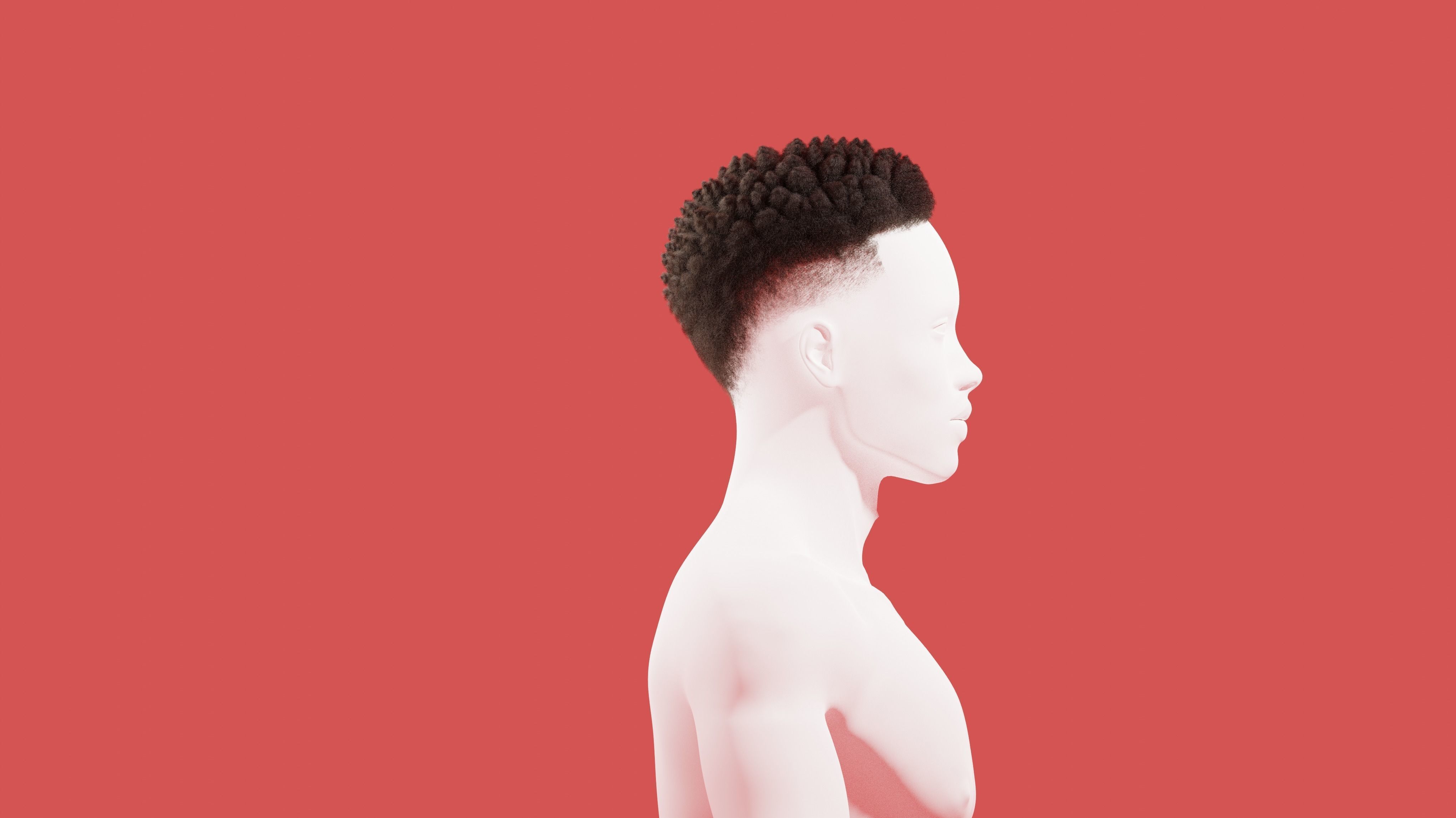 Afro Curl Sponge Fade 3D model_6