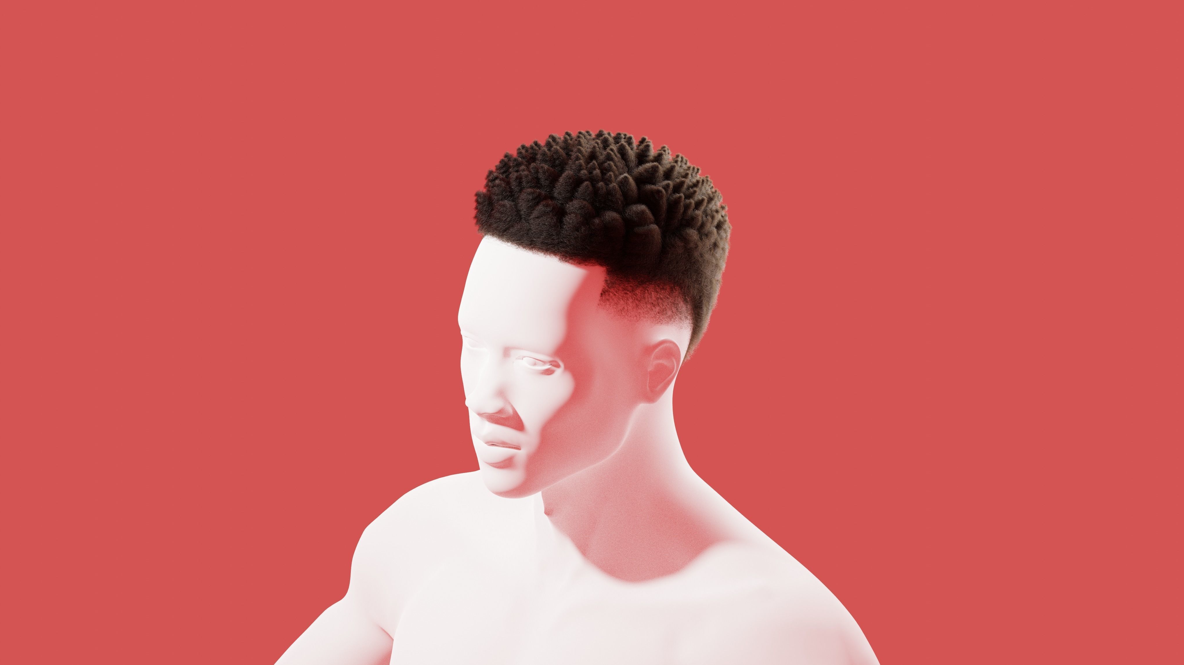 Afro Curl Sponge Fade 3D model_2