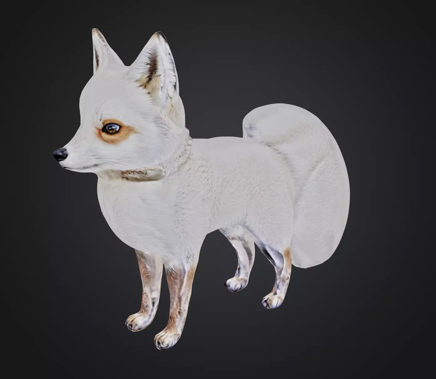 a cute fox 3D model Free 3D model_0