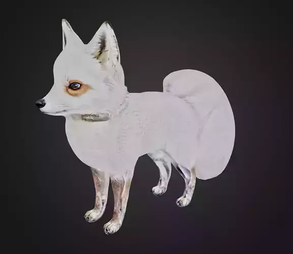 a cute fox 3D model Free 3D model