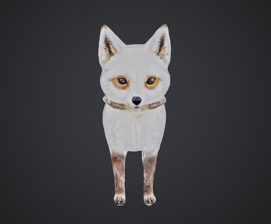 a cute fox 3D model Free 3D model_1