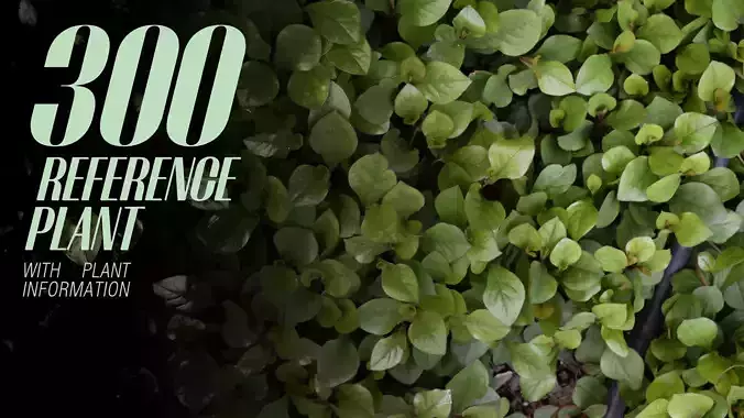 Plants Vol 1  3D model