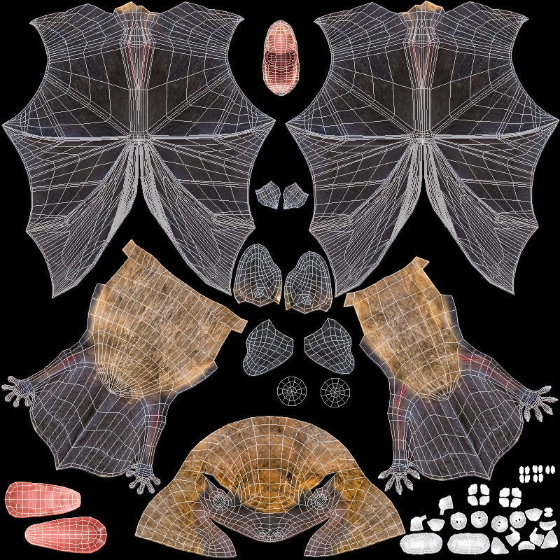 Common Pipistrelle Bat Low-poly 3D model_15
