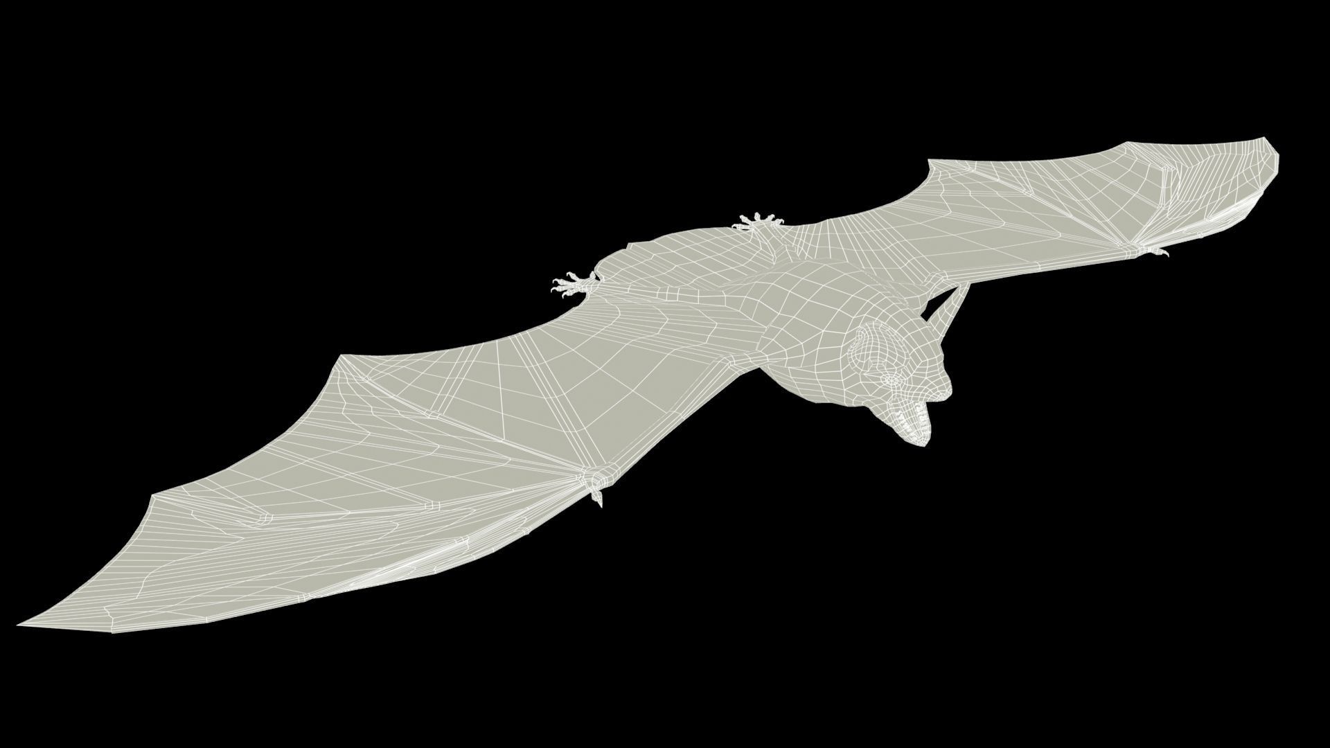 Common Pipistrelle Bat Low-poly 3D model_12