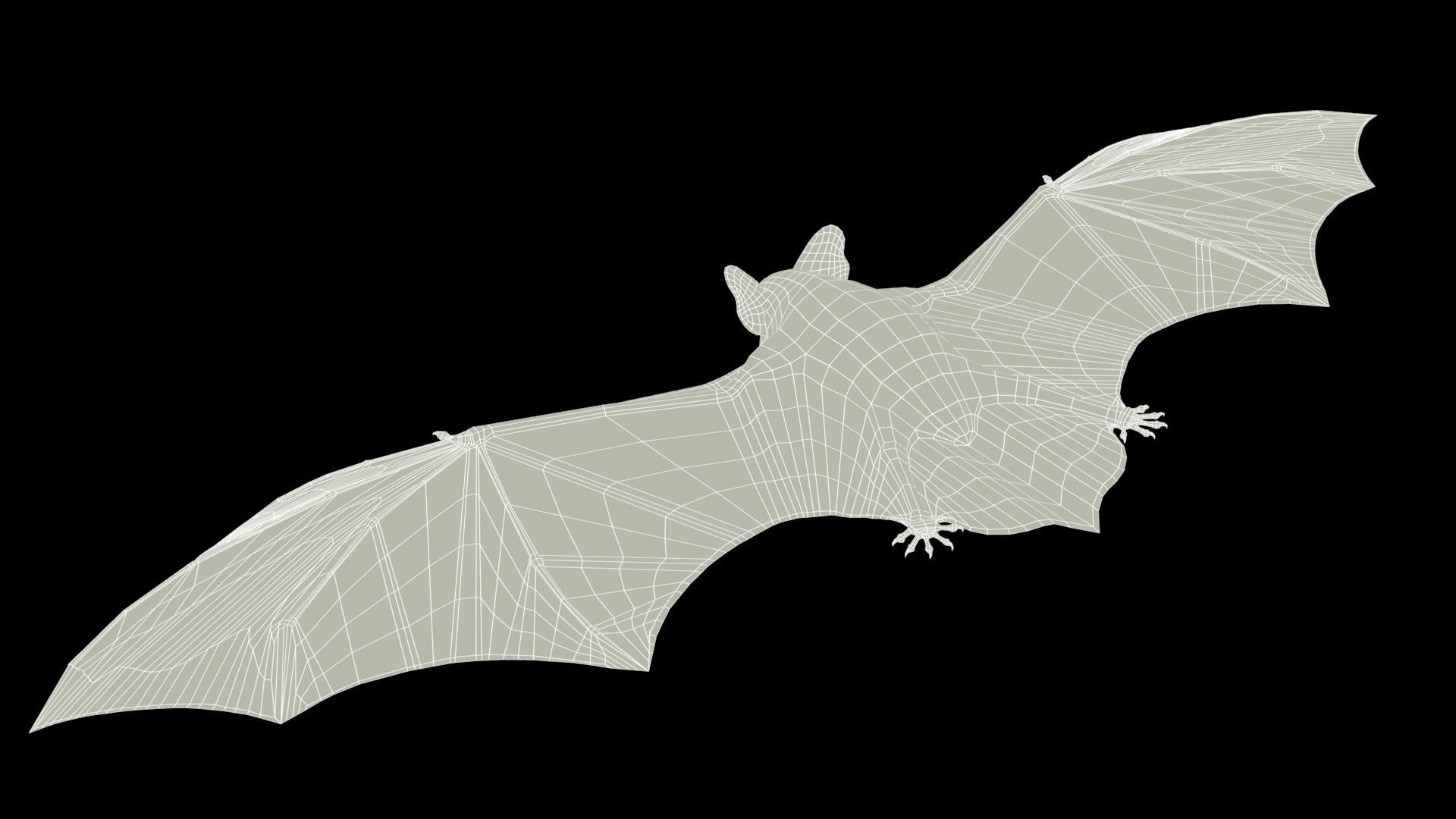 Common Pipistrelle Bat Low-poly 3D model_13