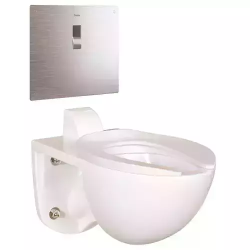 Commercial Flushometer Tornado