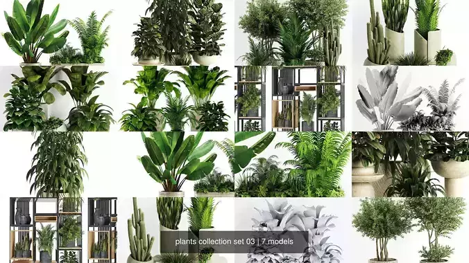 plants collection set 03 