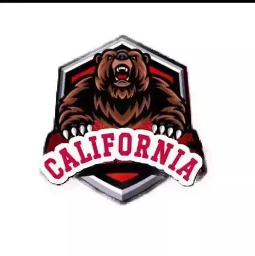 Pingente Urso California Resinado