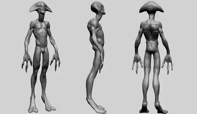 Creature Body Anatomy B 3D model