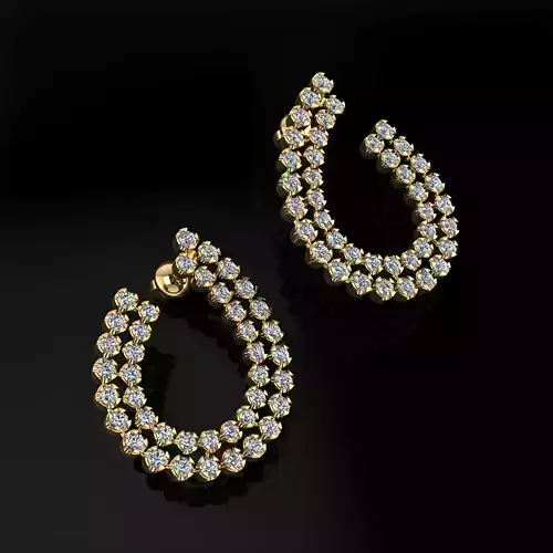 Earrings 27