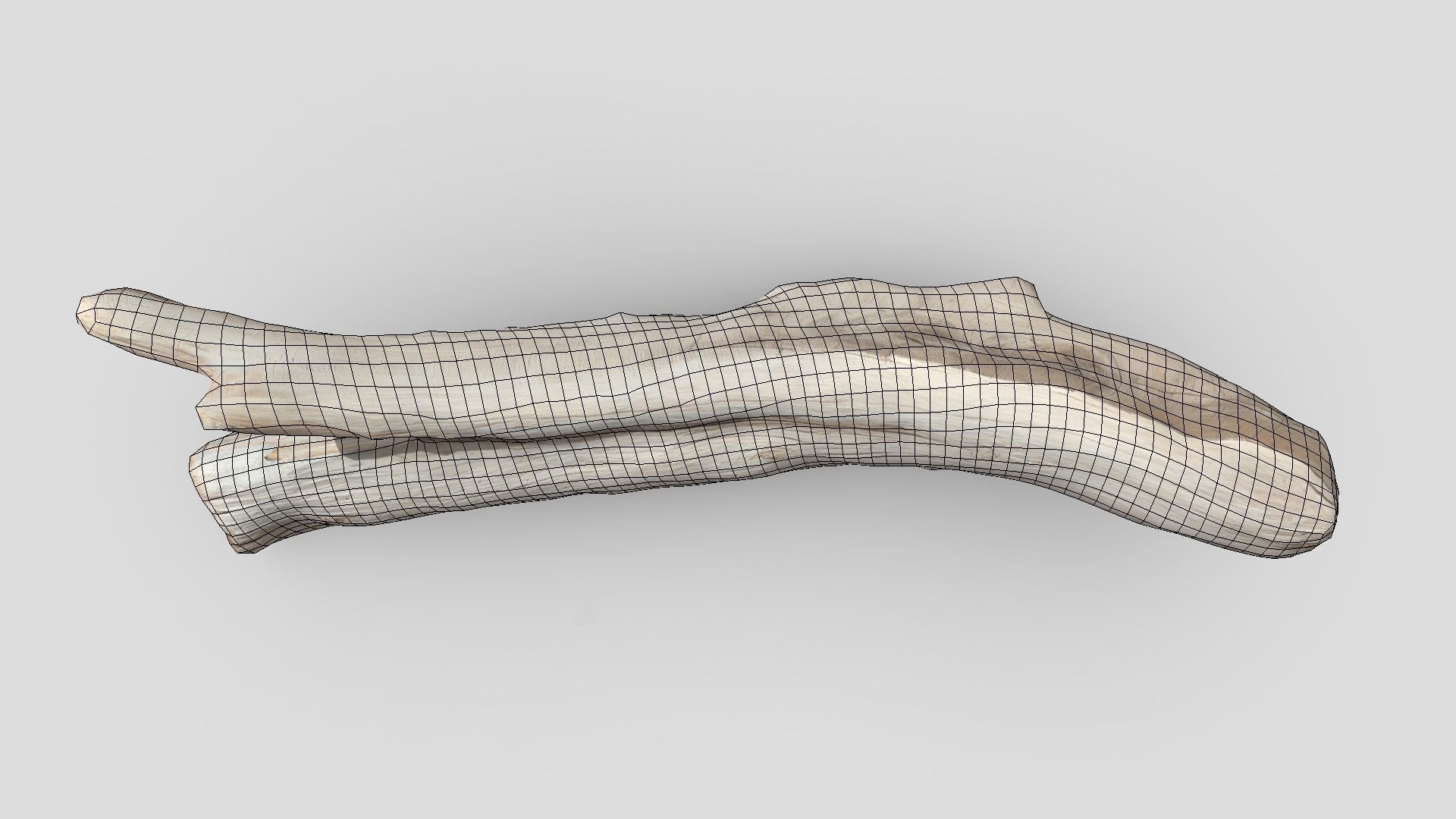 Dead Wood 4 Low-poly 3D model_4