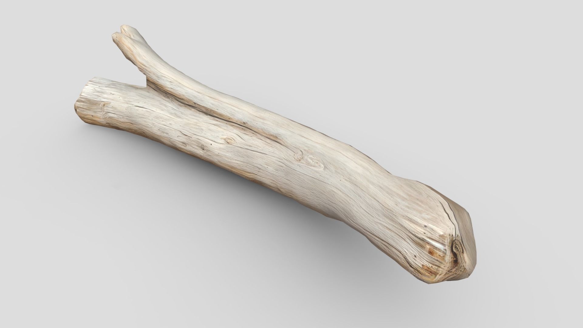 Dead Wood 4 Low-poly 3D model_5