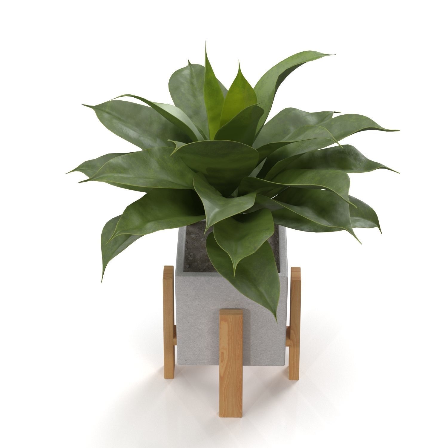 Artificial Agave Succulent Plant PBR 3D model_1
