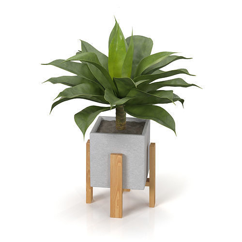 Artificial Agave Succulent Plant PBR 3D model