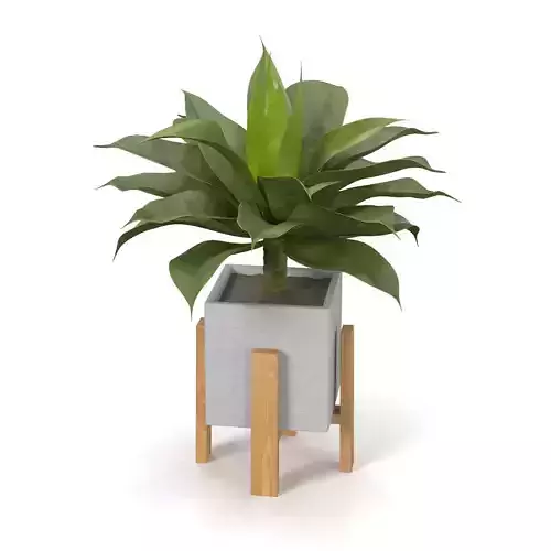 Artificial Agave Succulent Plant PBR 3D model
