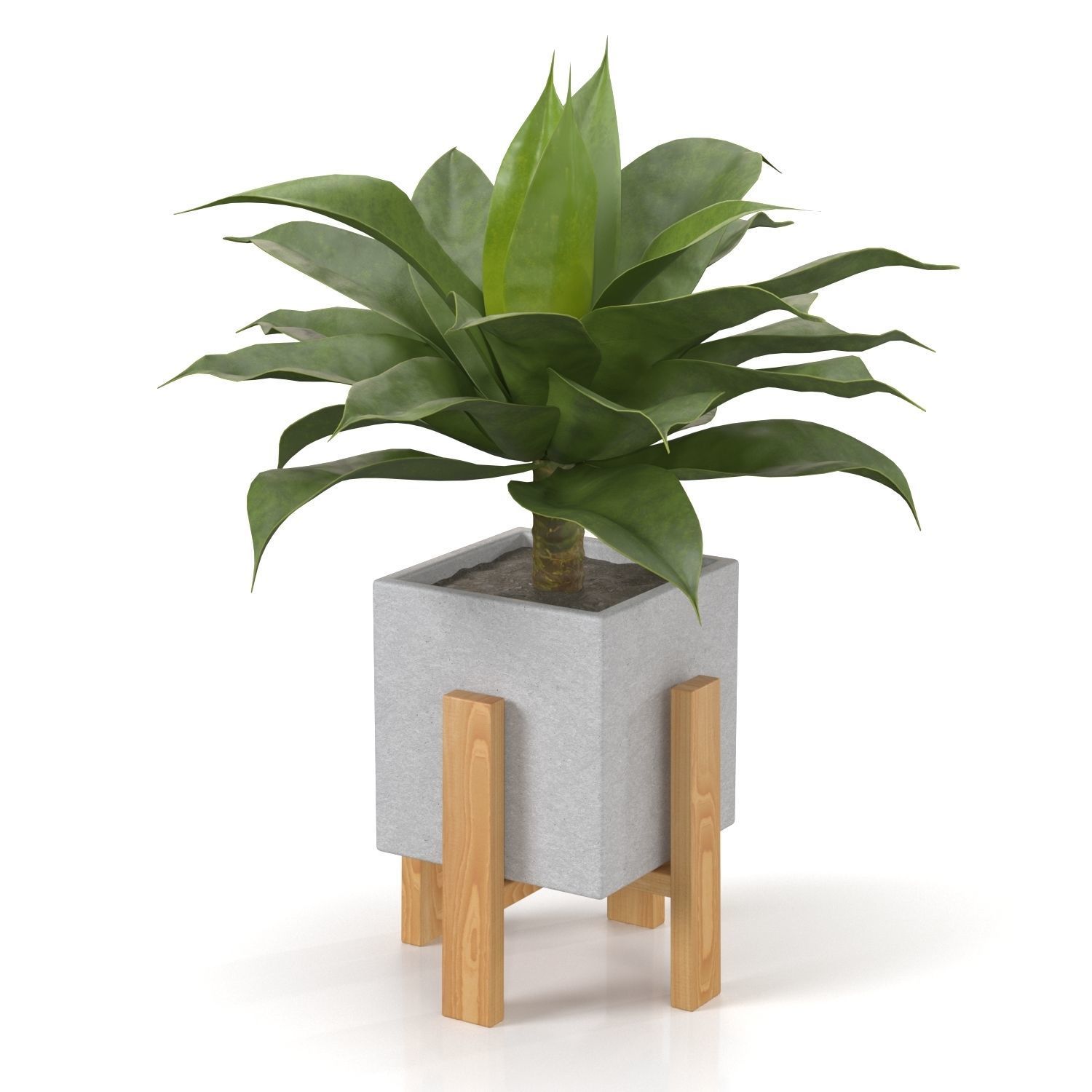 Artificial Agave Succulent Plant PBR 3D model_2