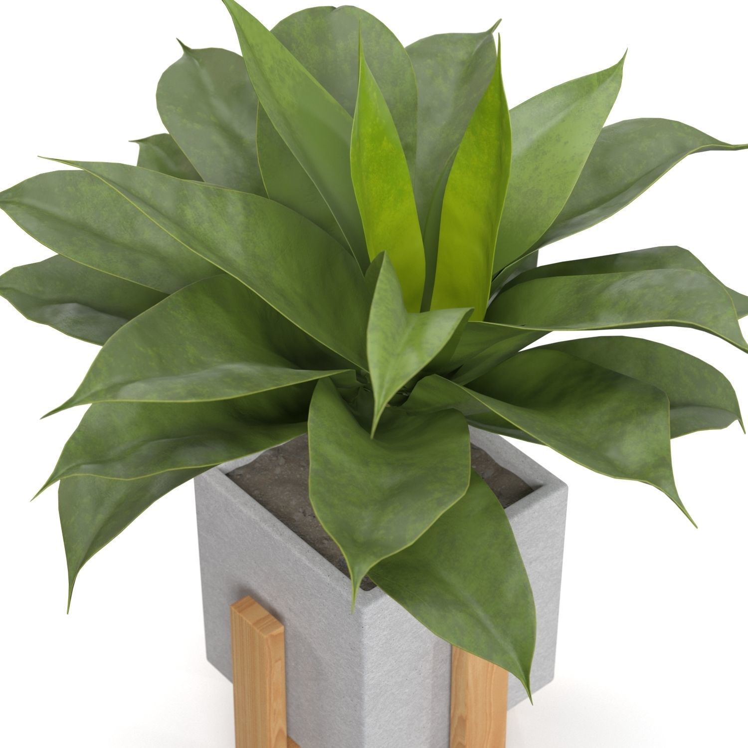 Artificial Agave Succulent Plant PBR 3D model_3