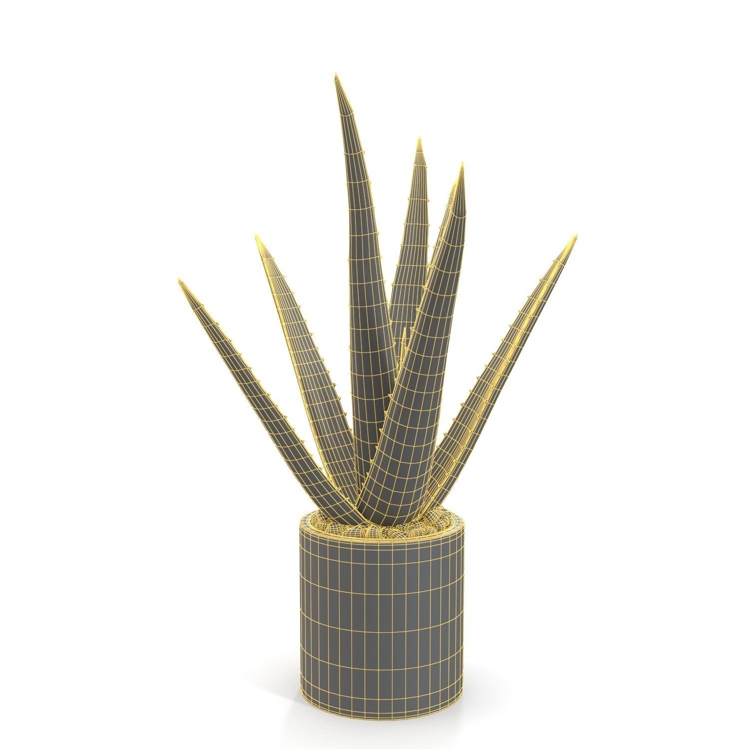 Healthy Aloe Vera Plant In Ceramic Vase PBR 3D model_5