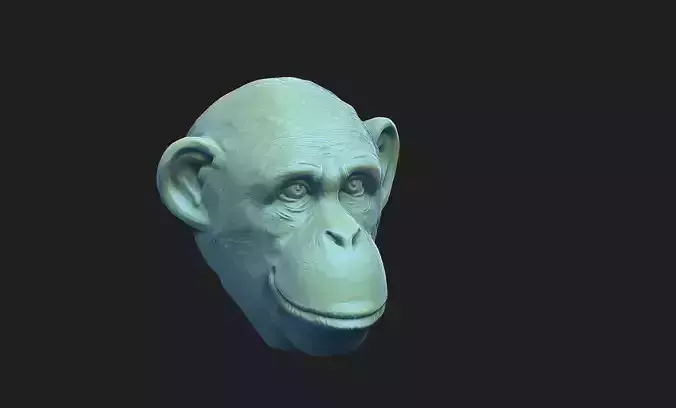 monkey head 3D print model
