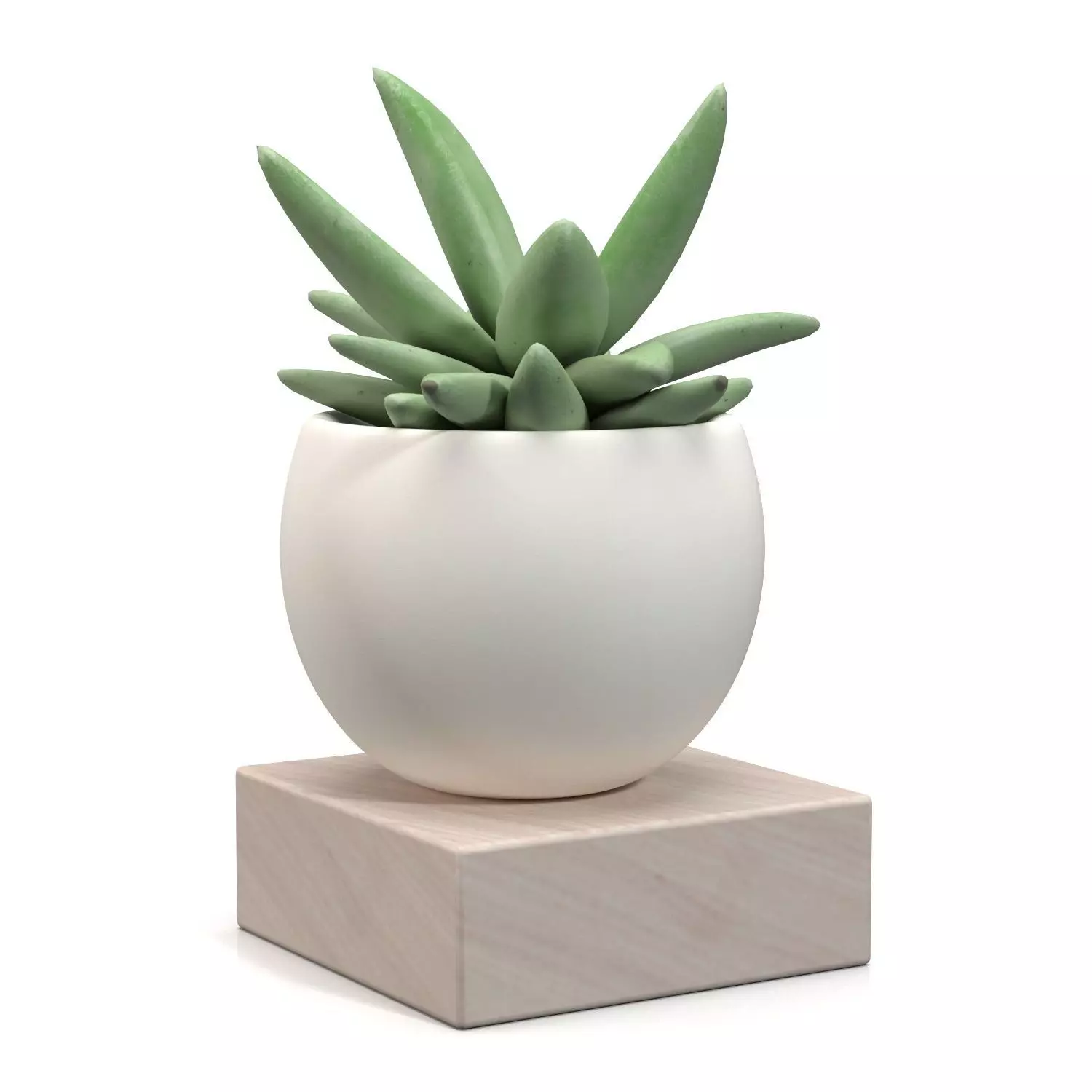 Mini Decorative Fake Succulent Artificial Plants PBR 3D model_0