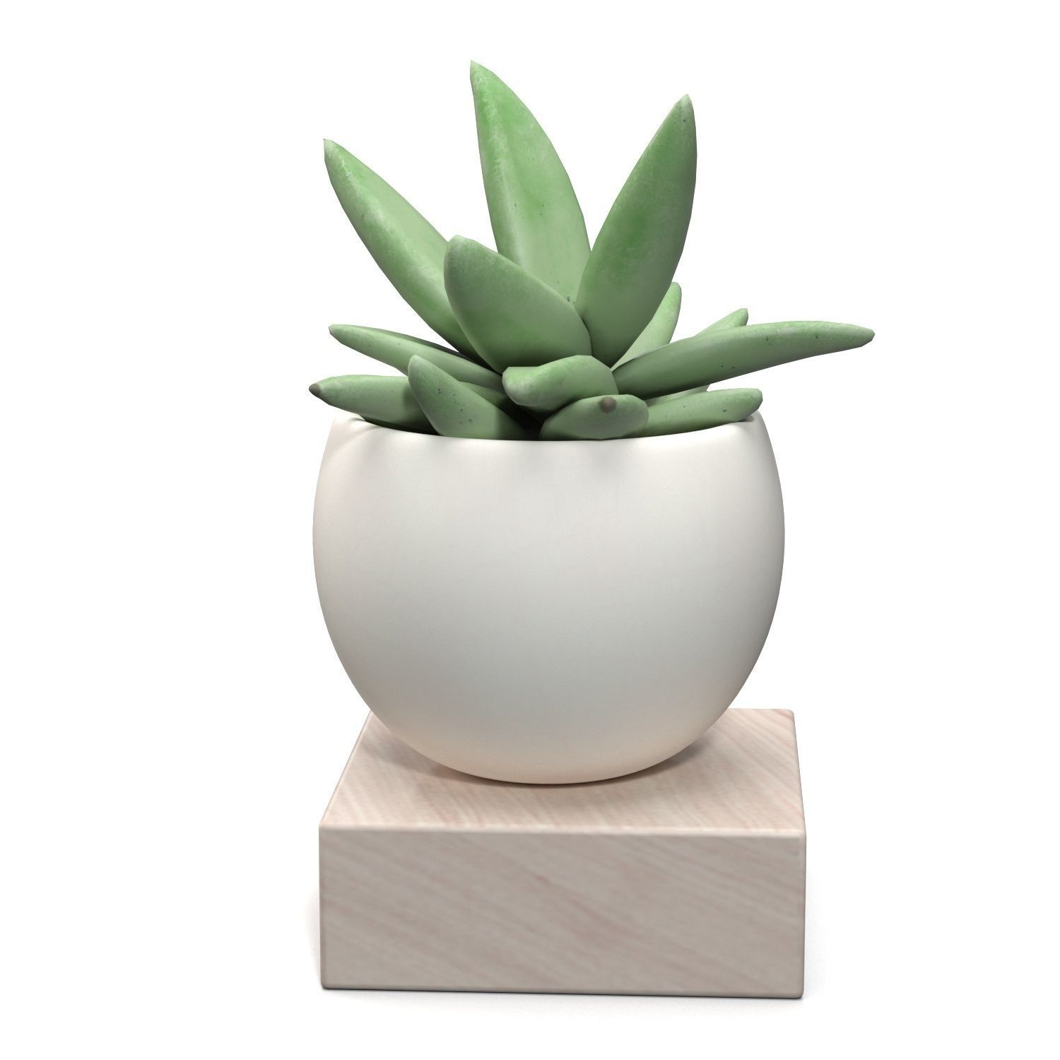Mini Decorative Fake Succulent Artificial Plants PBR 3D model_4