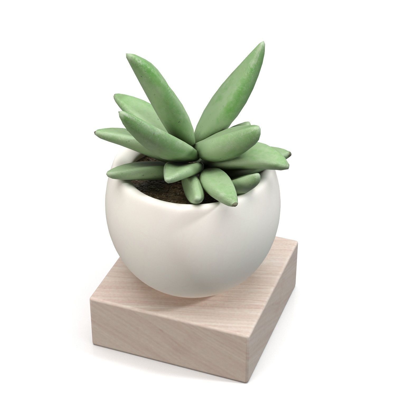 Mini Decorative Fake Succulent Artificial Plants PBR 3D model_2