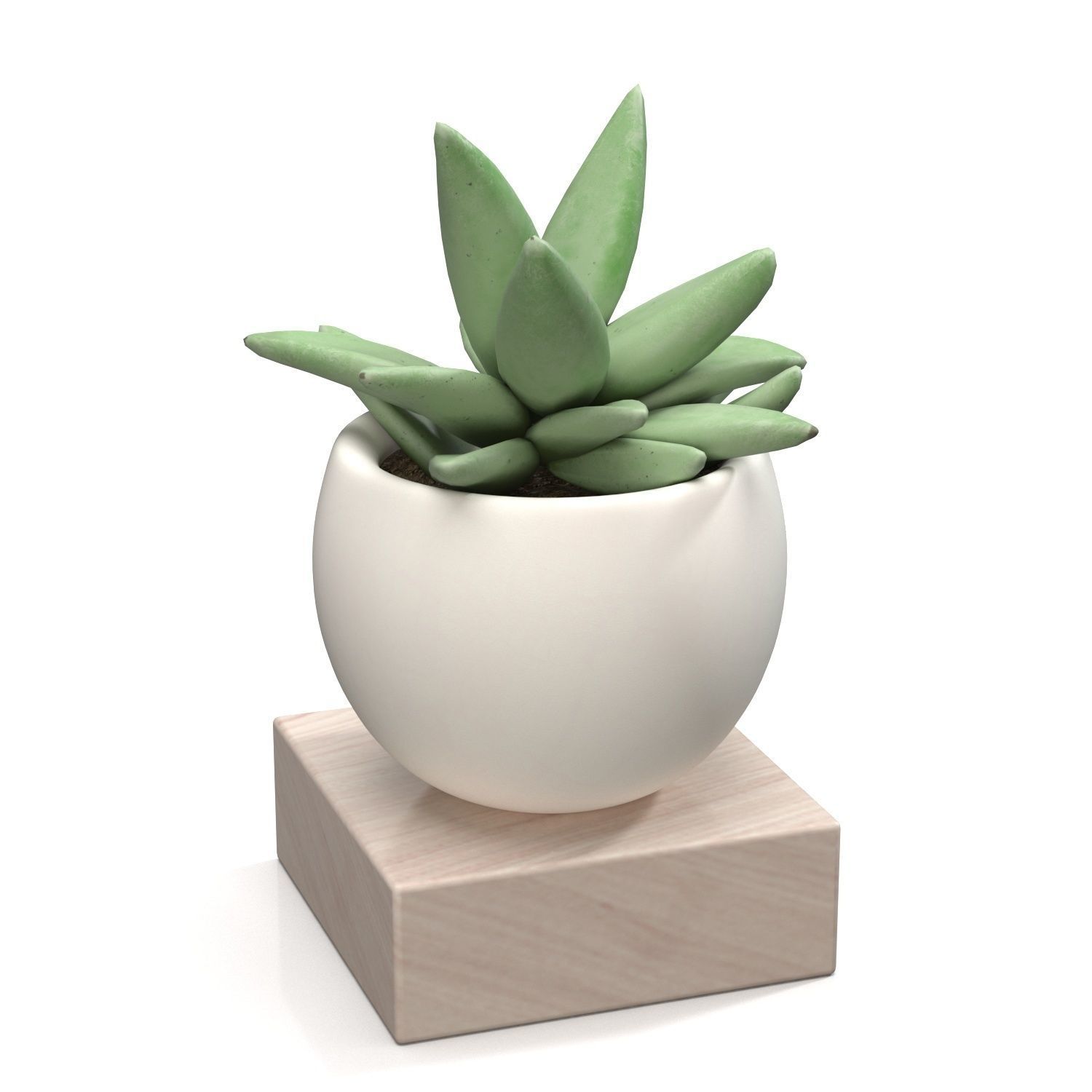 Mini Decorative Fake Succulent Artificial Plants PBR 3D model_1