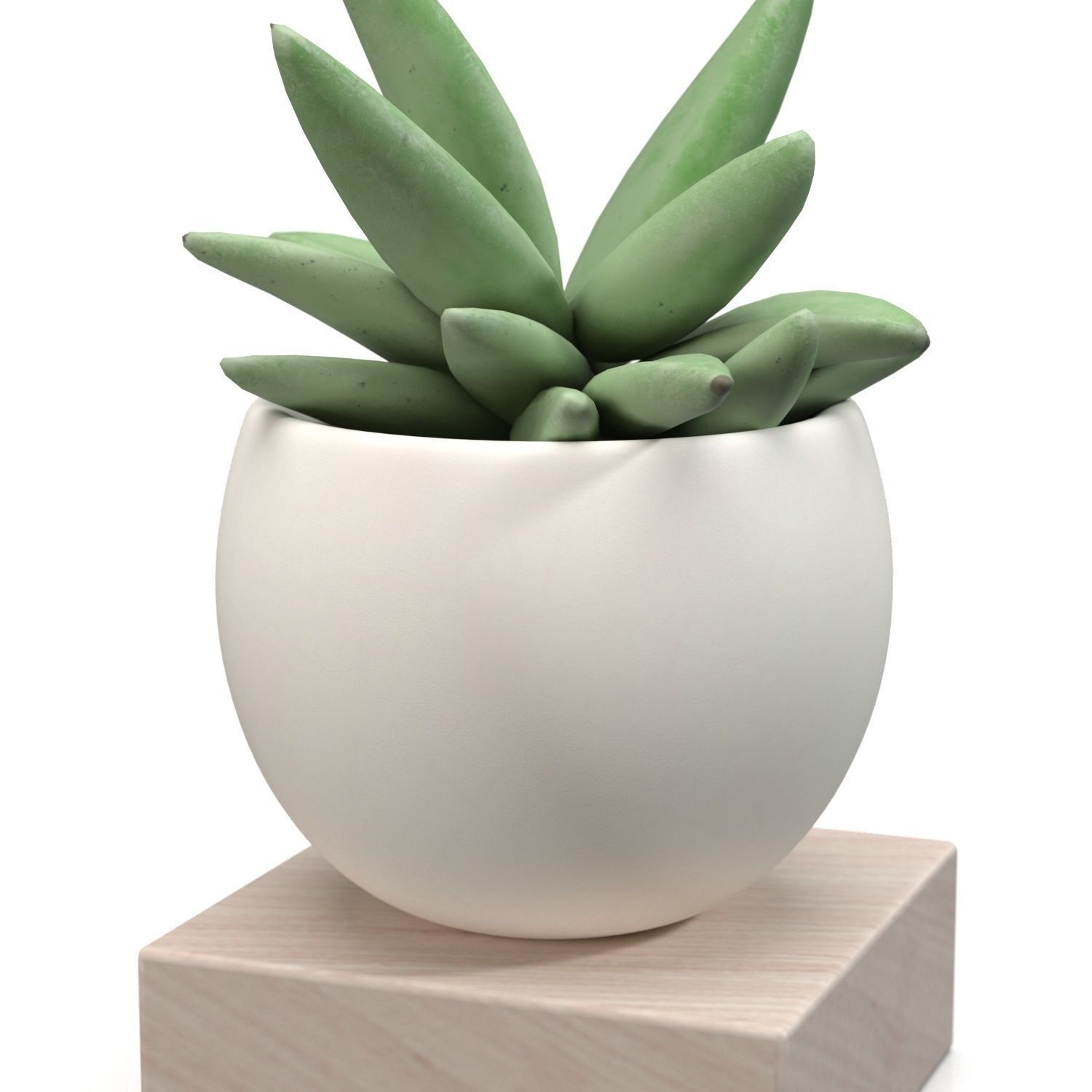 Mini Decorative Fake Succulent Artificial Plants PBR 3D model_3