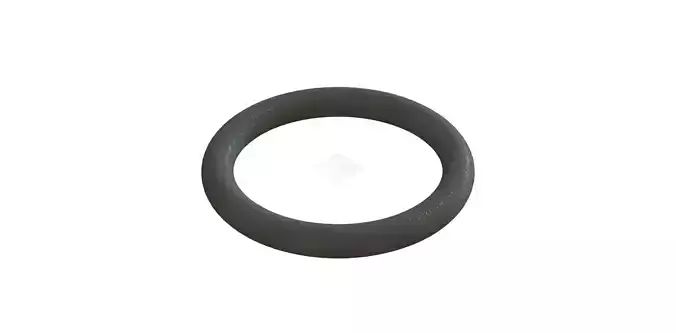 O Ring Vedabras 12628