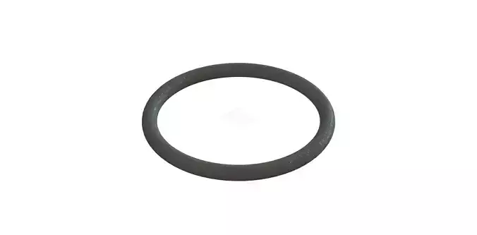 O Ring Vedabras 12621