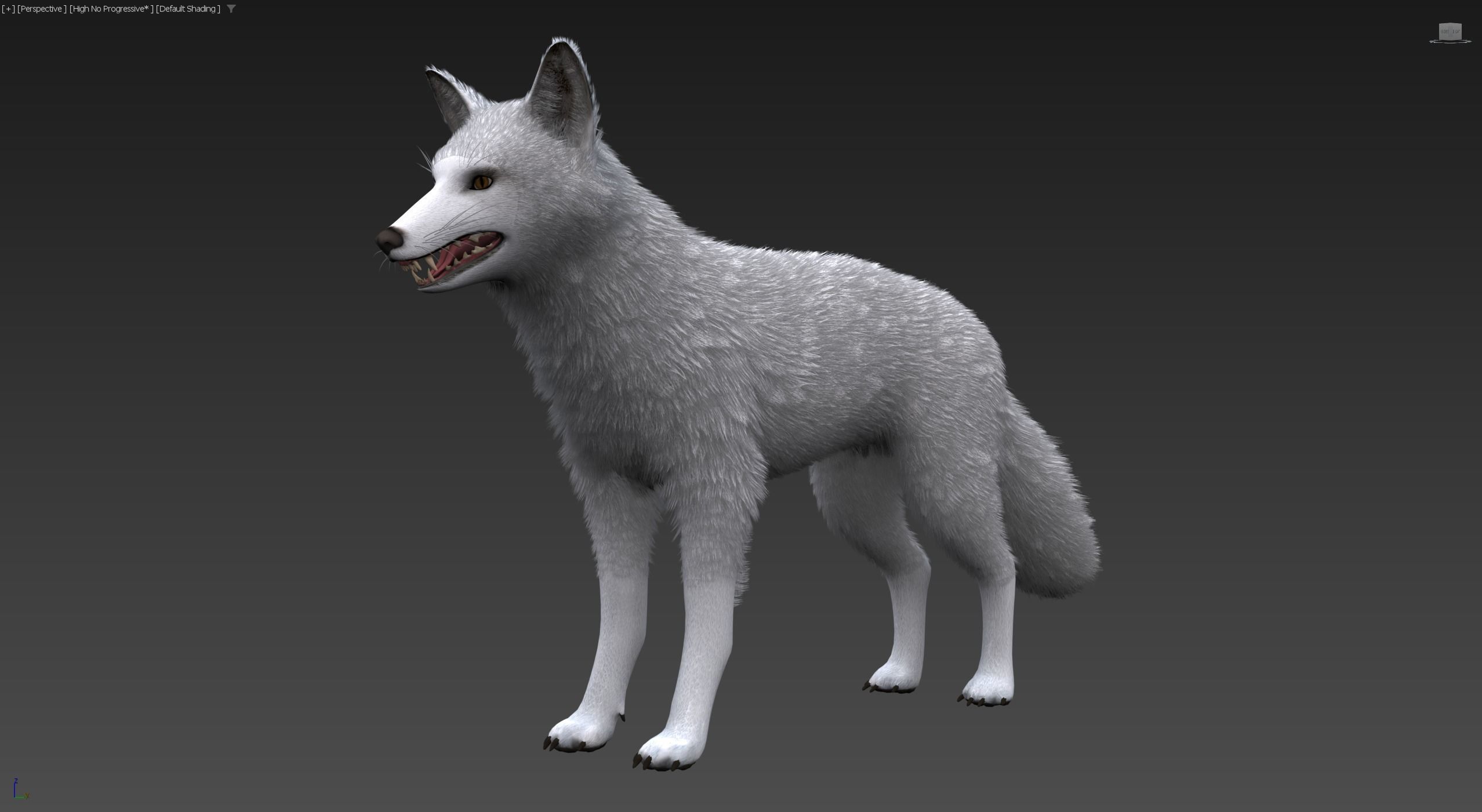 Realistic Foxes Low-poly 3D model_22