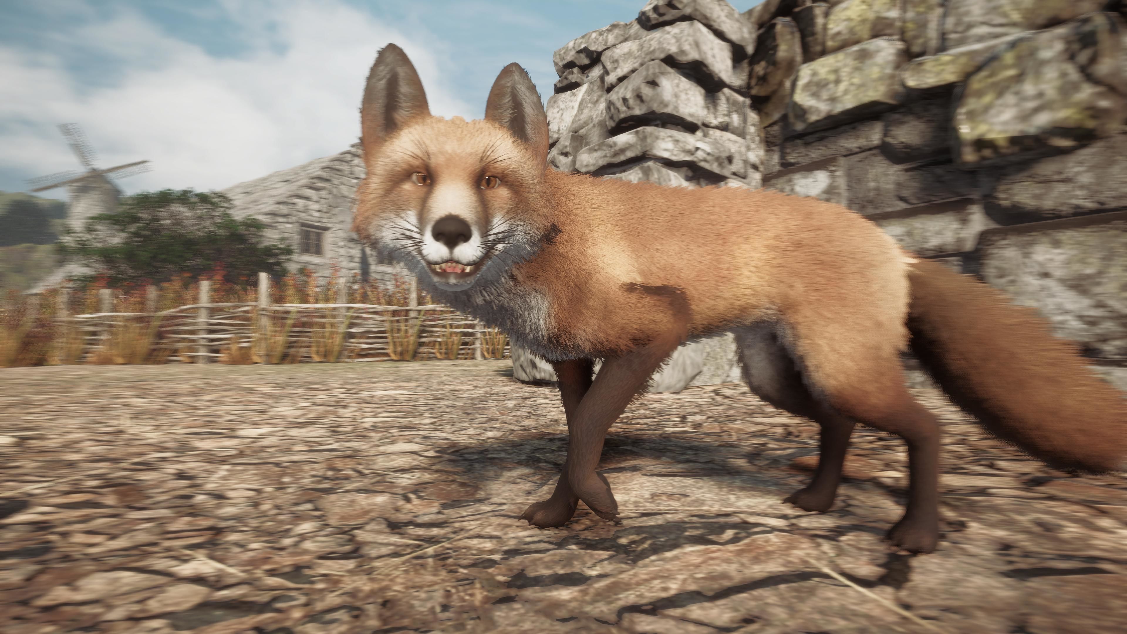 Realistic Foxes Low-poly 3D model_6