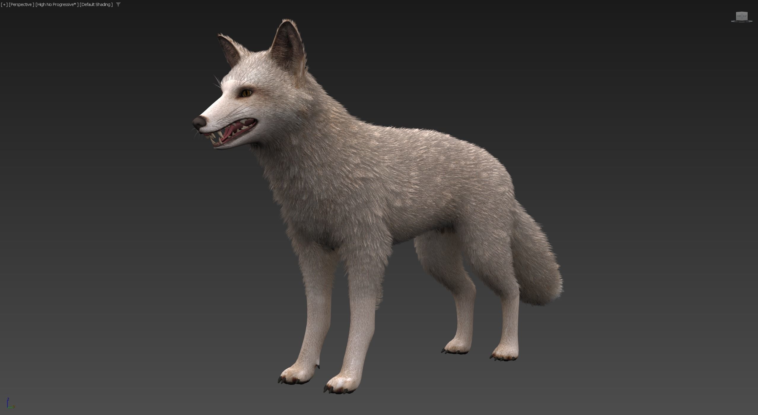 Realistic Foxes Low-poly 3D model_28