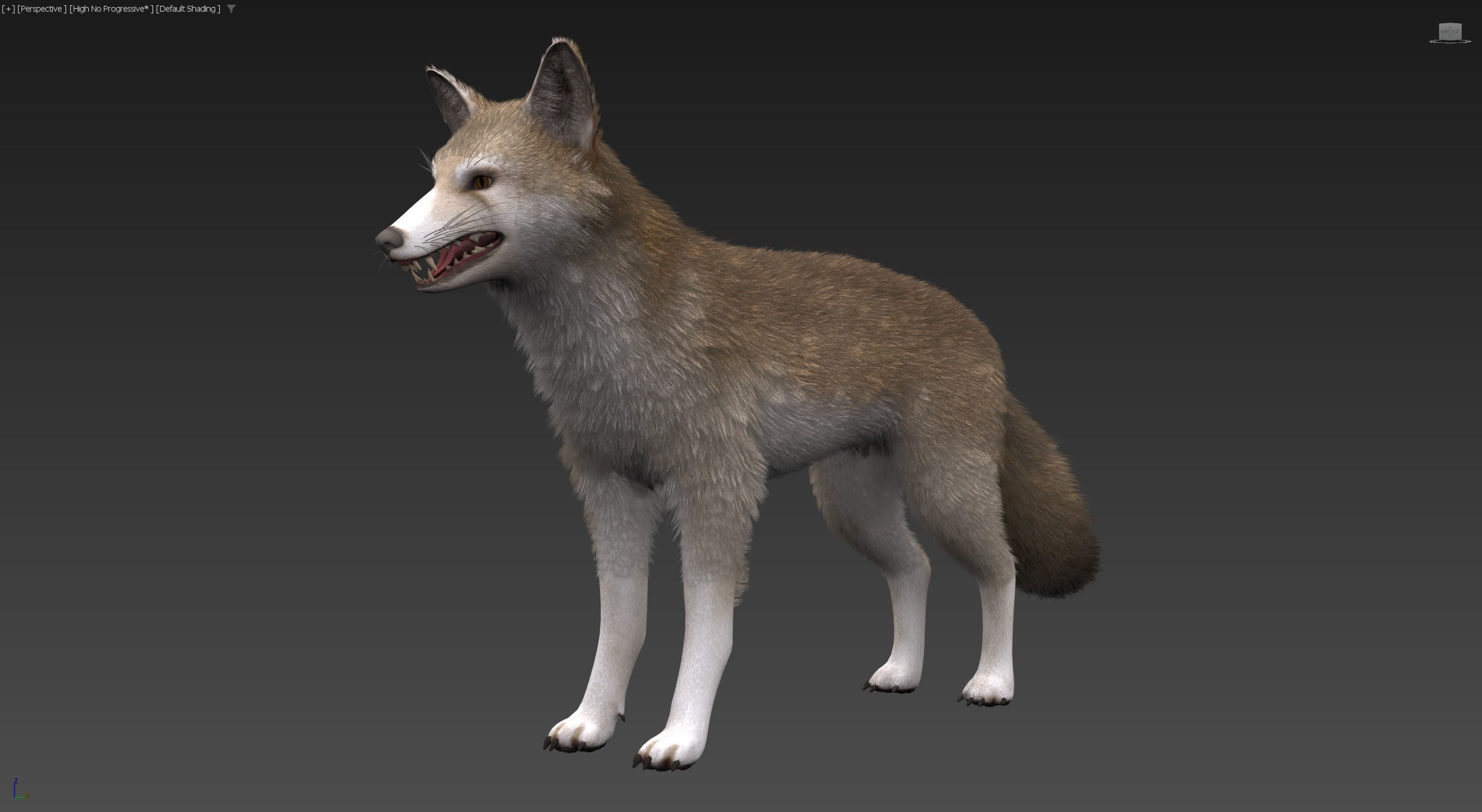 Realistic Foxes Low-poly 3D model_23
