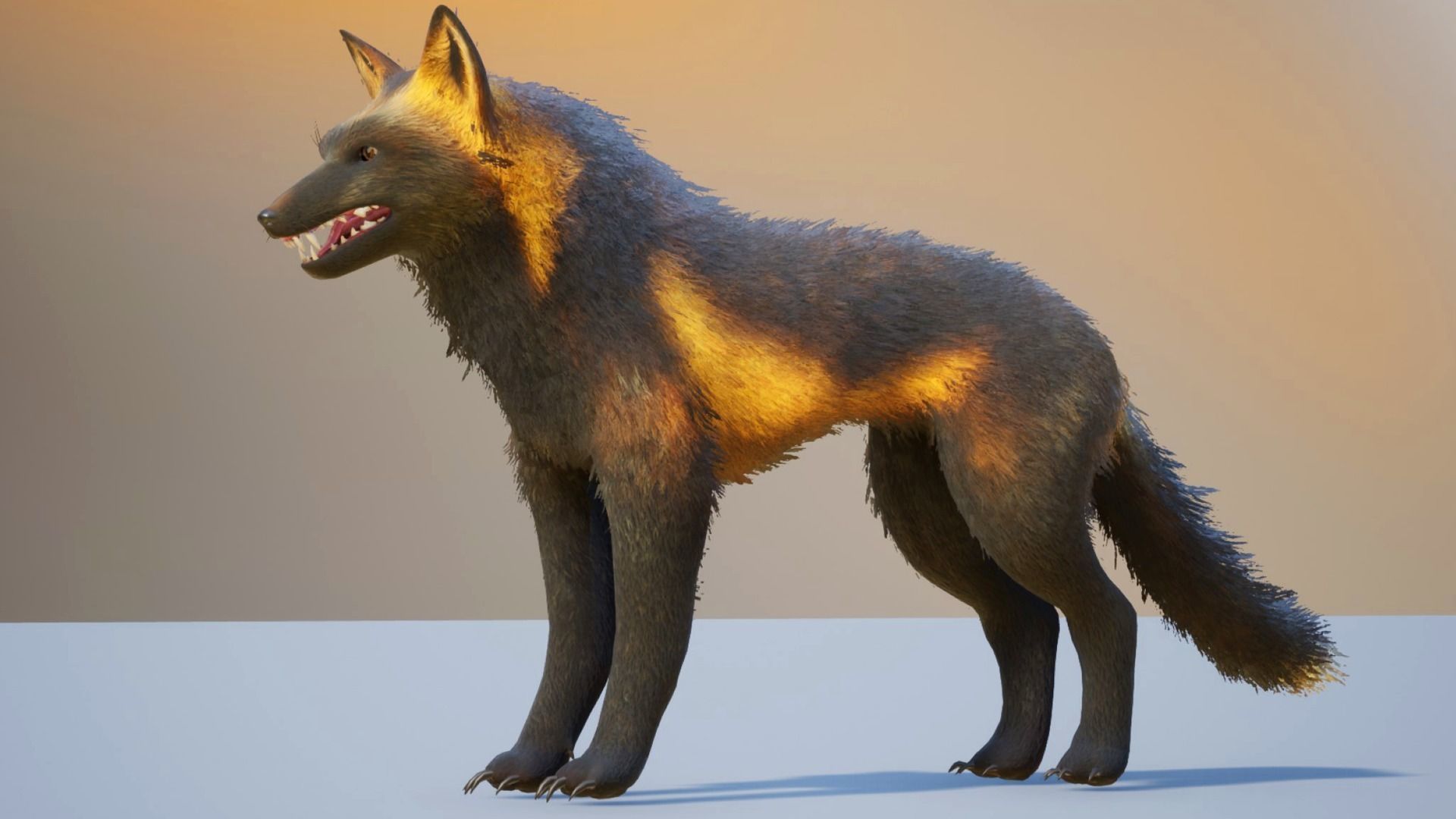 Realistic Foxes Low-poly 3D model_14