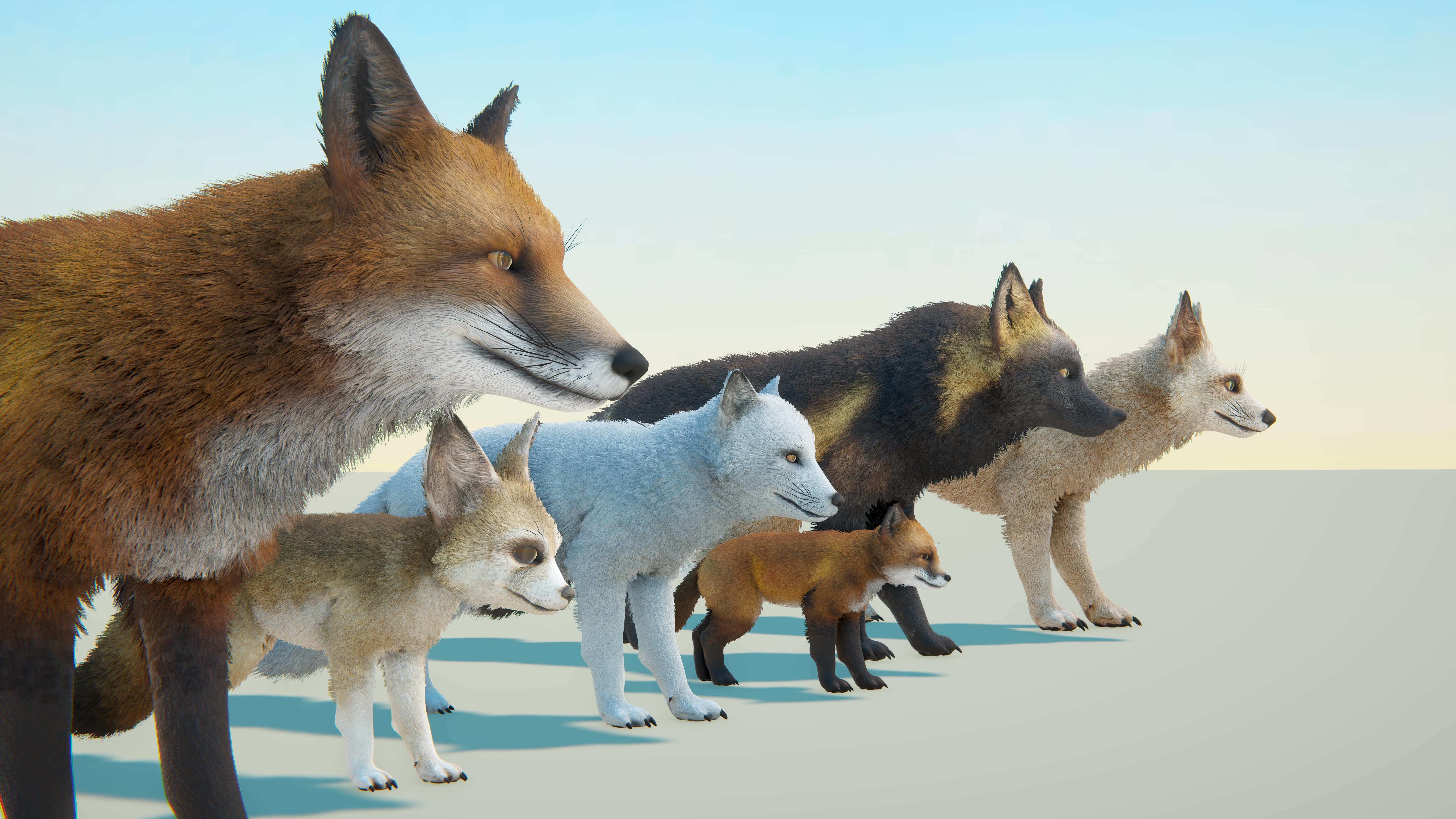 Realistic Foxes Low-poly 3D model_33