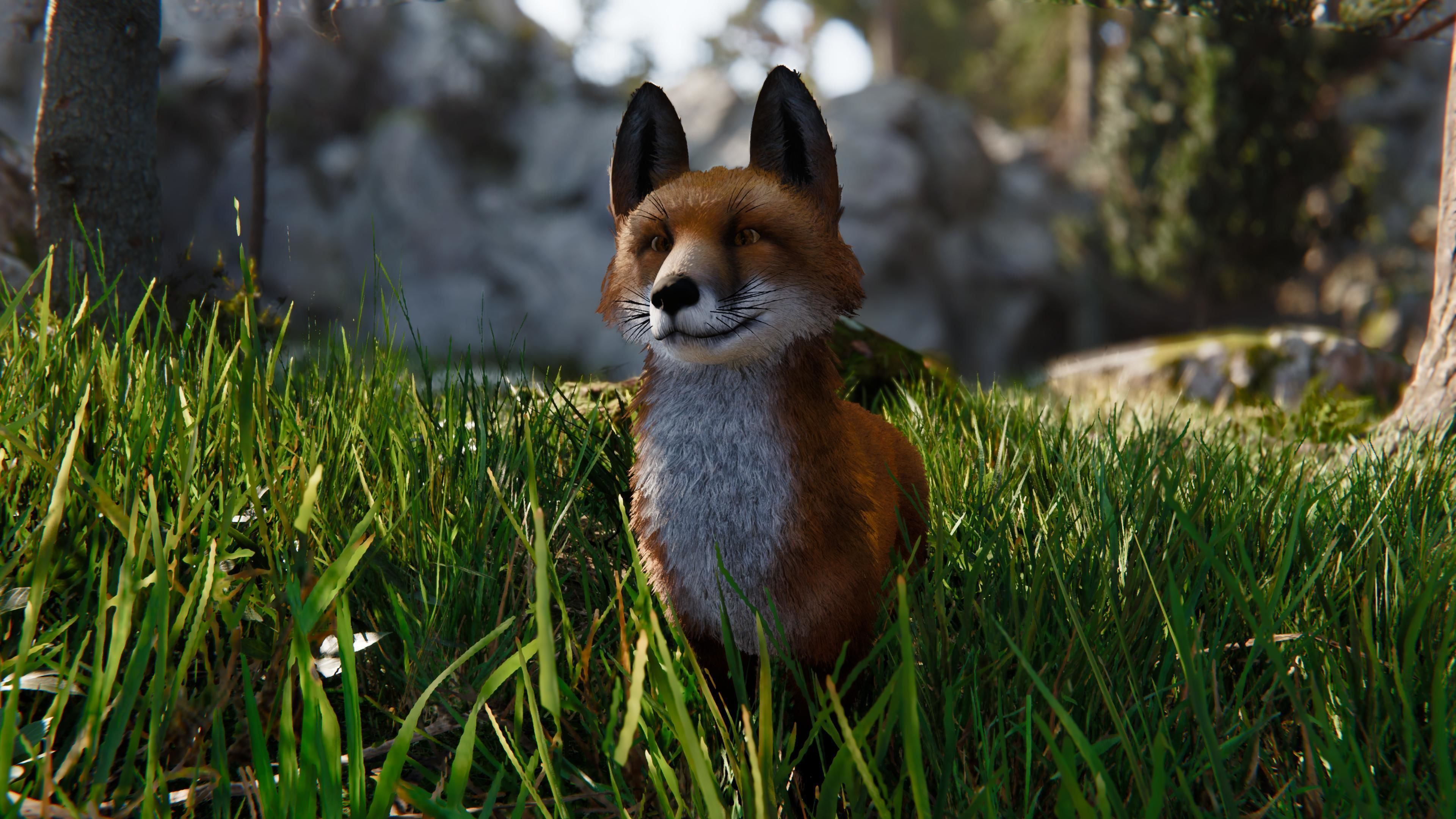 Realistic Foxes Low-poly 3D model_5