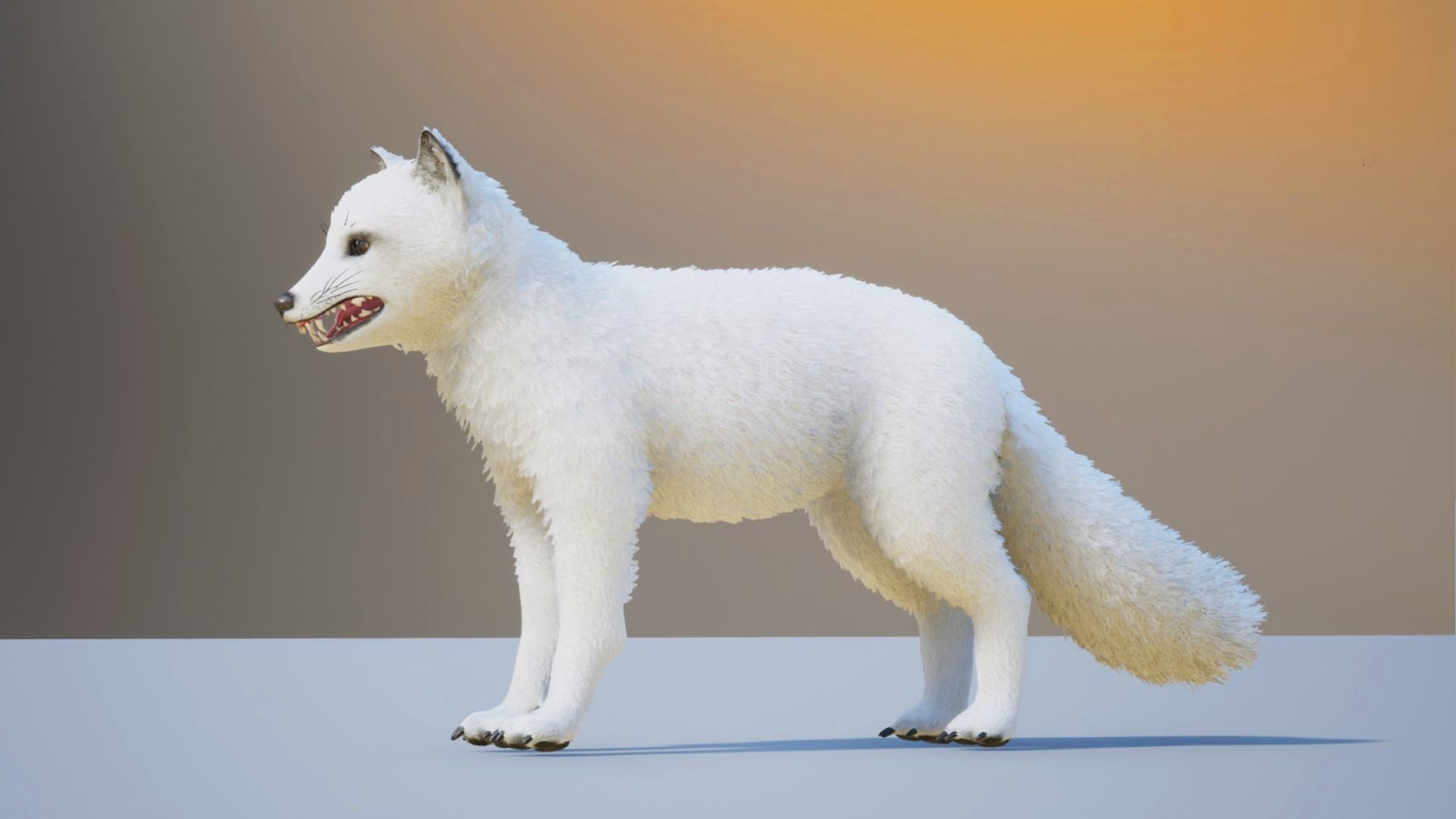 Realistic Foxes Low-poly 3D model_17