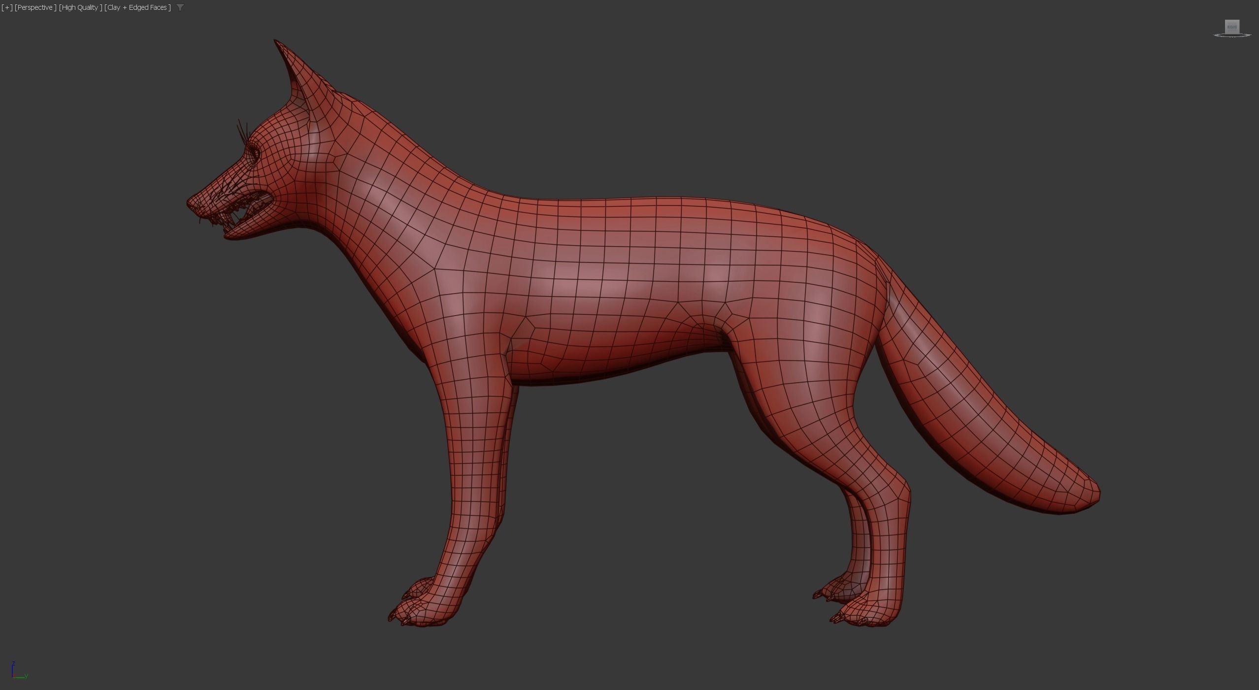 Realistic Foxes Low-poly 3D model_25