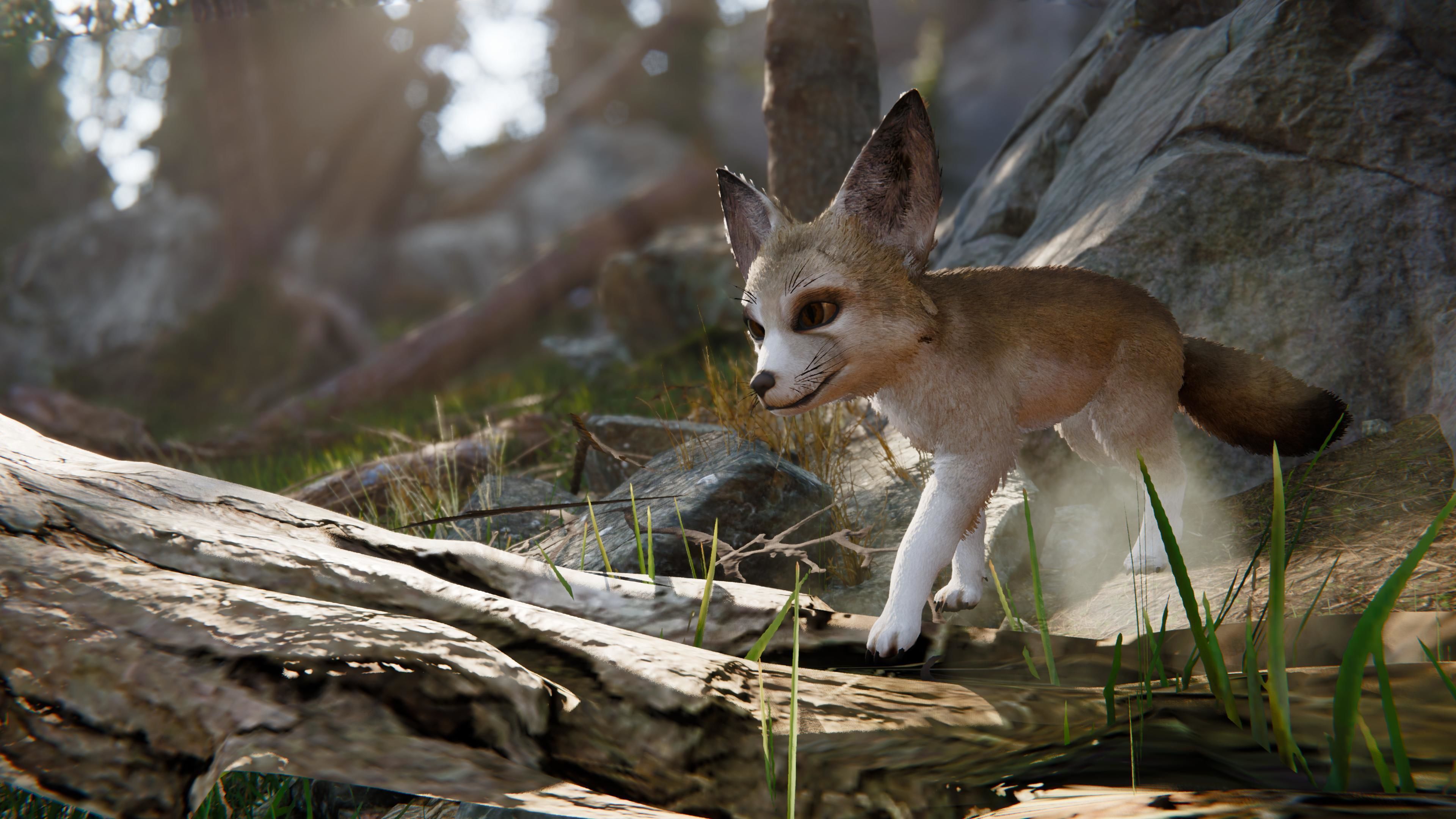 Realistic Foxes Low-poly 3D model_7