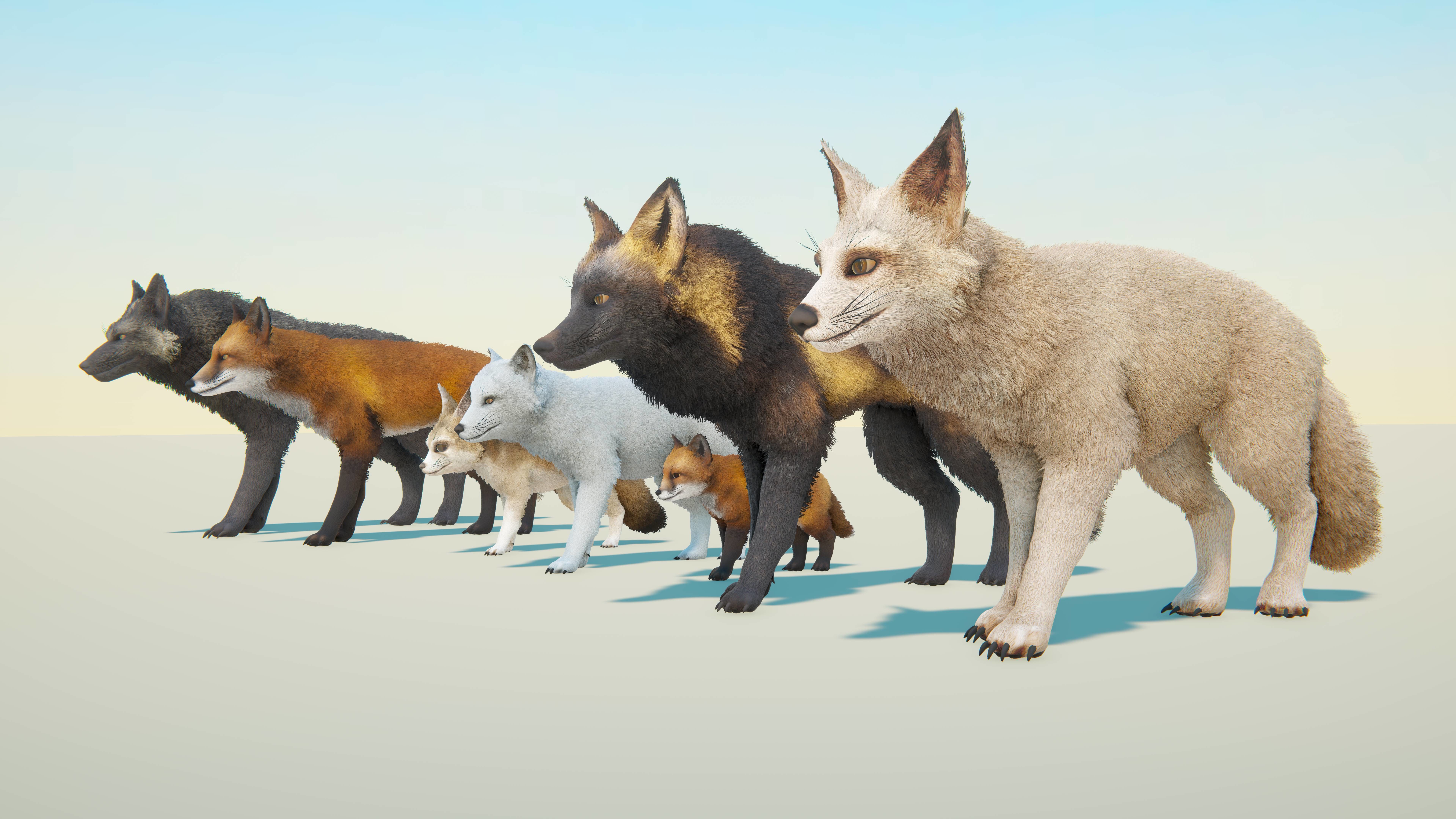 Realistic Foxes Low-poly 3D model_3