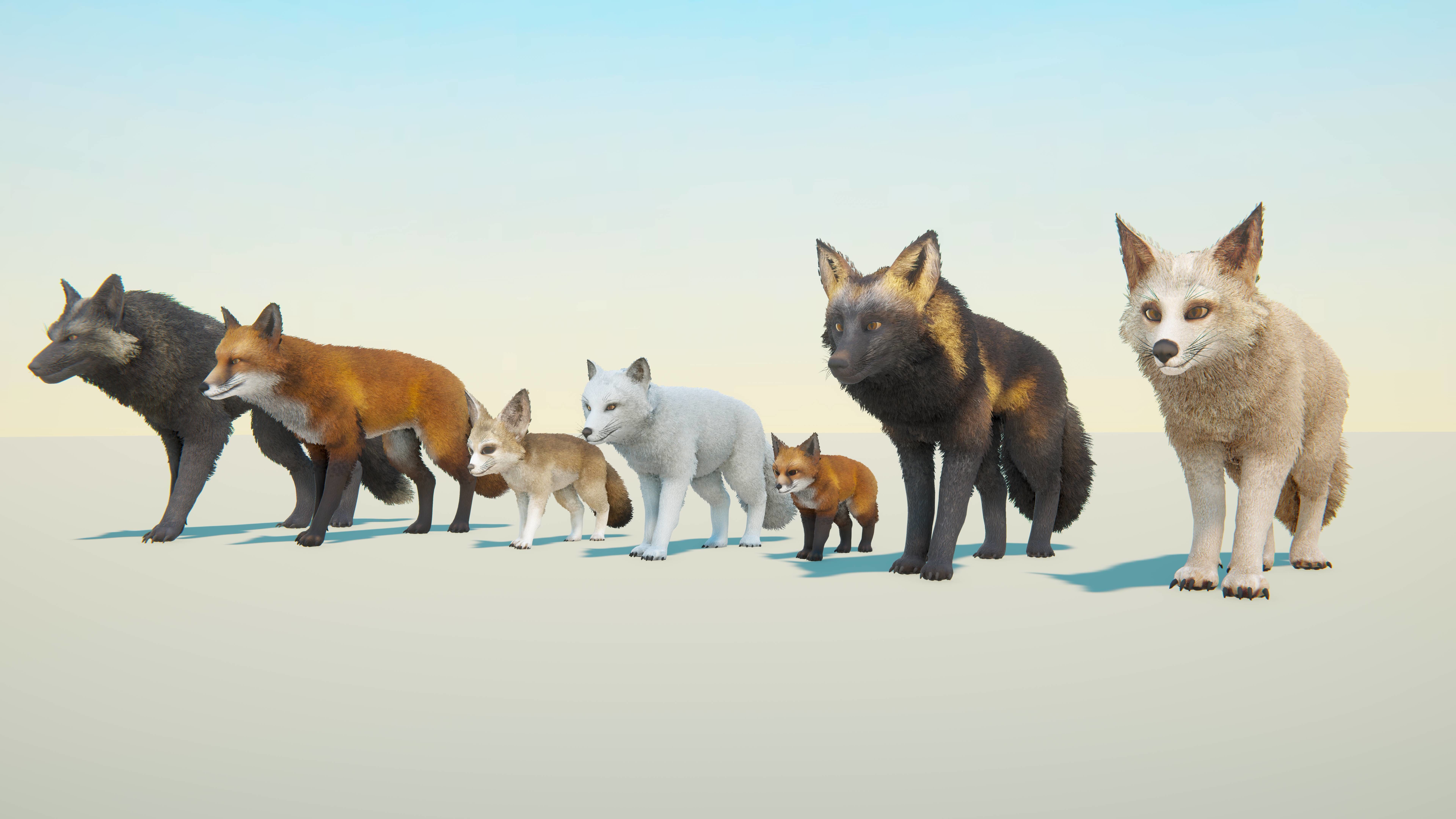 Realistic Foxes Low-poly 3D model_11