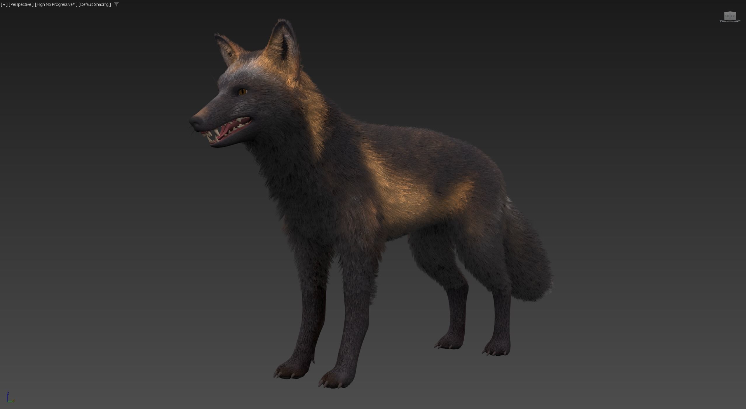 Realistic Foxes Low-poly 3D model_24