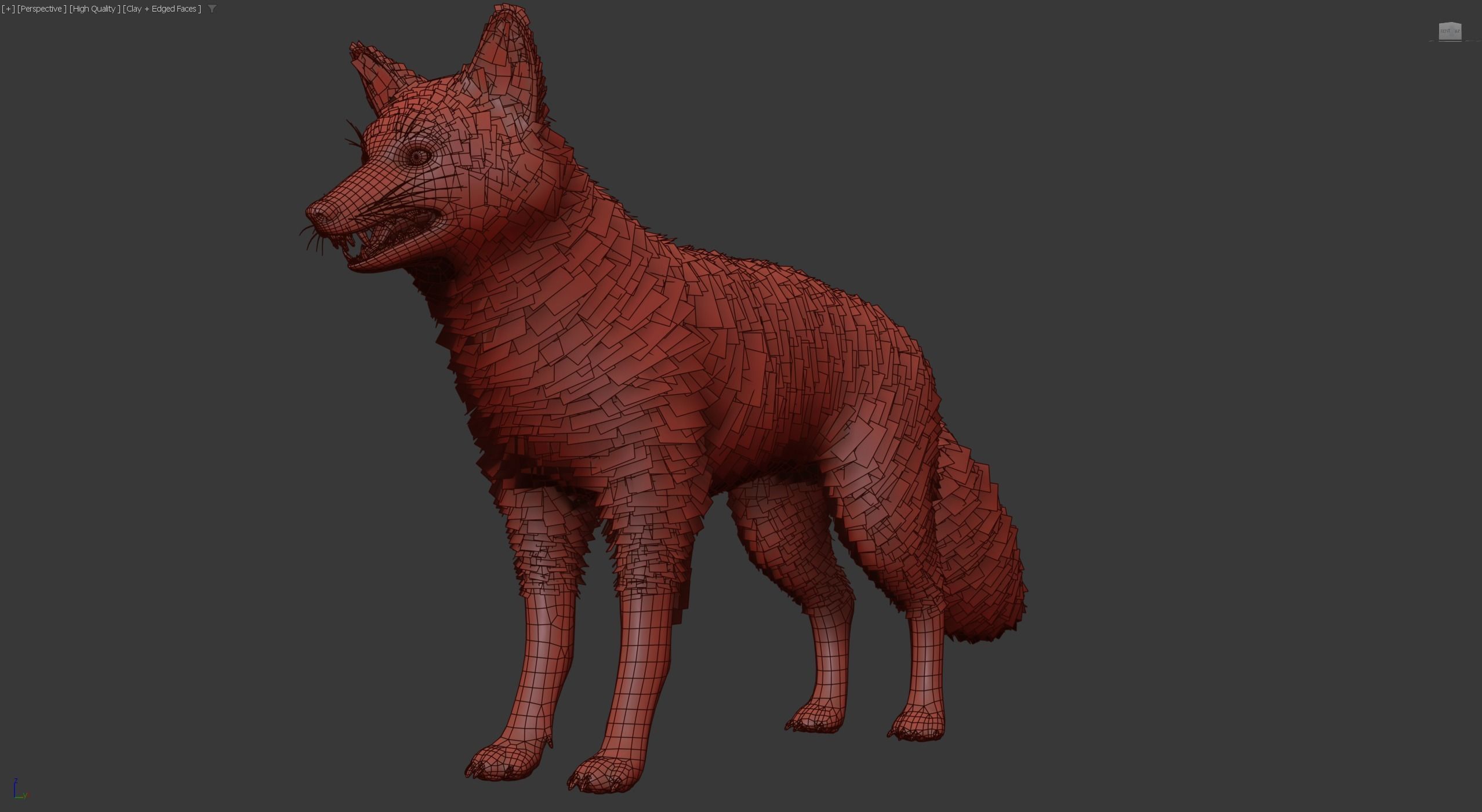 Realistic Foxes Low-poly 3D model_26